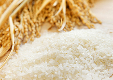 おいしいお米を育てる為の手間画像3